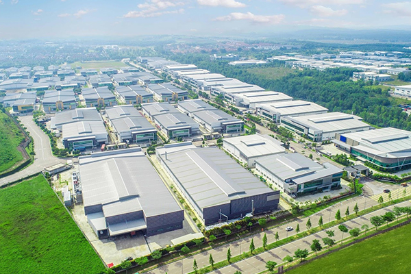 Yunnan Rotary Files Co., Ltd