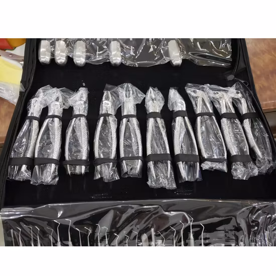 in-Di30 Medical Clinic Dental Kits Instrumente Chirurgische Reinigung Dental Tool Instrument